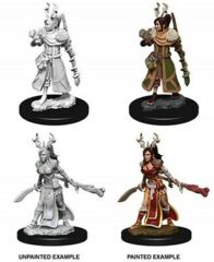 D&D Nolzur's Marvelous Miniatures: Female Human Druid