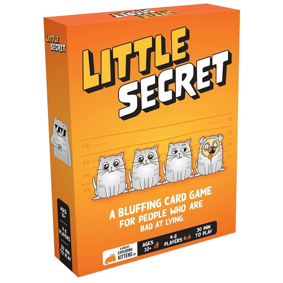 LITTLE SECRET (ENGLISH)