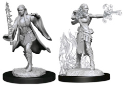 D&D NOLZUR'S MARVELOUS UNPAINTED MINIATURES  -  FEMALE MULTICLASS WARLOCK + SORCERER