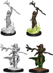 DND UNPAINTED MINIS WV14 HUMAN DRUID FEMALE