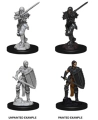 D&D Nolzur's Marvelous Miniatures: Female Human Fighter