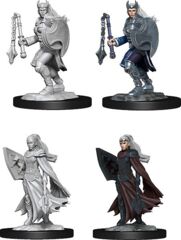 DND UNPAINTED MINIS WV14 KALASHTAR CLERIC FEMALE