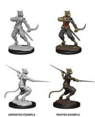 D&D Nolzur's Marvelous Miniatures: Male Tabaxi Rogue