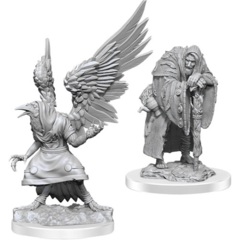 D&D - NOLZUR'S MARVELOUS MINIATURES - WERERAVENS