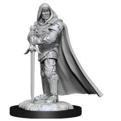 D&D NOLZUR'S MARVELOUS UNPAINTED MINIATURES  -  MALE HUMAN PALADIN