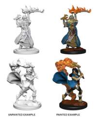 Pathfinder Battles Unpainted Minis - Human Female Cleric