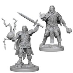 Pathfinder Battles Unpainted Minis - Human Male Cleric