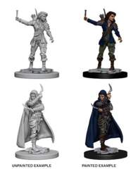 Pathfinder Battles Unpainted Minis - Human Female Rogue