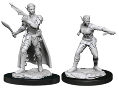 D&D NOLZUR'S MARVELOUS UNPAINTED MINIATURES  -  FEMALE SHIFTER ROGUE