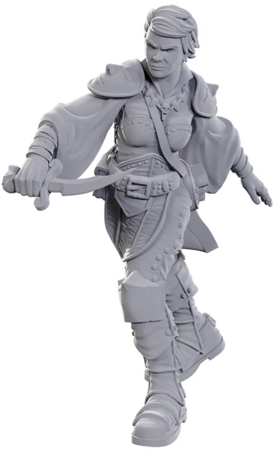 DND UNPAINTED MINIS WV25 SWASHBUCKLER DND UNPAINTED MINIS WV25 SWASHBUCKLER