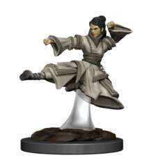 DUNGEONS & DRAGONS 5  -  ICONS OF THE REALMS  -  FEMALE HUMAN MONK