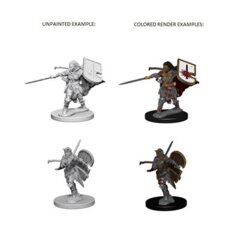 Pathfinder Battles Unpainted Minis - Human Female Paladin