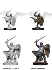 UNPAINTED MINIATURE - D&D NOLZUR'S MARVELOUS MINIATURES - AASIMAR MALE PALADIN