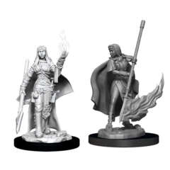 Pathfinder Battles Unpainted Minis - Female Human Oracle