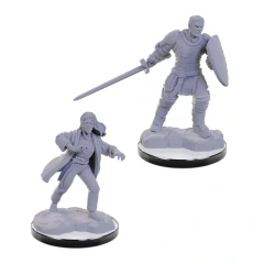 D&D NOLZUR'S MARVELOUS MINIATURES - REBORN PALADIN & WARLOCK