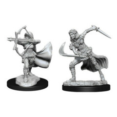 D&D NOLZUR'S MARVELOUS UNPAINTED MINIATURES - AIR GENASI FEMALE