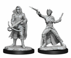 D&D NOLZUR'S MARVELOUS UNPAINTED MINIATURES - BOUNTY HUNTER & OUTLAW