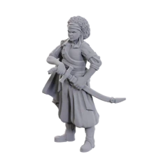 DND - UNPAINTED MINIS - WAVE 23 - ANSALON HUMAN ROGUE