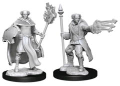 D&D NOLZUR'S MARVELOUS UNPAINTED MINIATURES  -  MULTICLASS CLERIC + WIZARD MALE