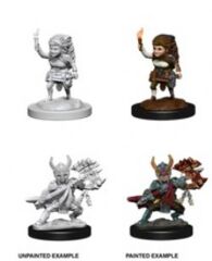 D&D Nolzur's Marvelous Miniatures: Female Halfling Fighter