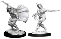 PATHFINDER  -  PATHFINDER BATTLES DEEP CUTS  -  HUMAN ROGUE FEMALE