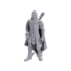 CRITICAL ROLE - UNPAINTED MINIS - WAVE 23 - DORIAN STORM