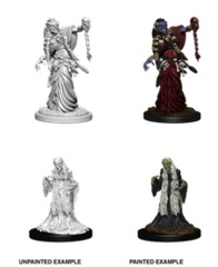 D&D Nolzur's Marvelous Miniatures: Green Hag & Night Hag