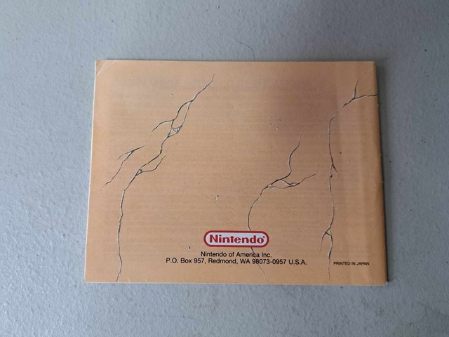 NINTENDO - FAXANADU - COMPLETE IN BOX (01)