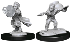 PATHFINDER  -  PATHFINDER BATTLES DEEP CUTS  -  HALFLING WIZARD MALE