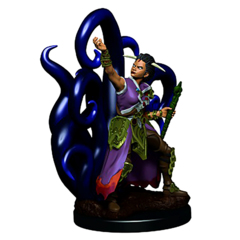 ICONS OF THE REALMS PREMIUM MINIATURES: HUMAN WARLOCK