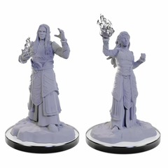 D&D NOLZUR'S MARVELOUS MINIATURES - ELF WIZARDS (2)