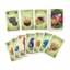 FIVE TRIBES - BASE GAME (ENGLISH)