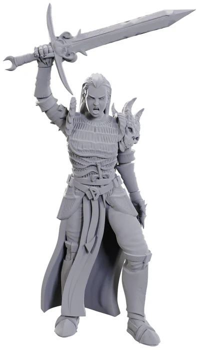 DND UNPAINTED MINIS WV25 BLACKGUARD DND UNPAINTED MINIS WV25 BLACKGUARD