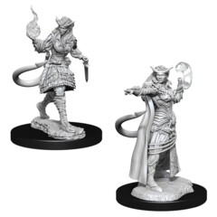 D&D NOLZUR'S MARVELOUS UNPAINTED MINIATURES -  FEMALE TIEFLING SORCERER