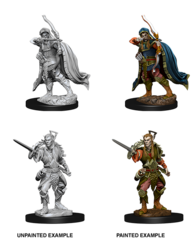 D&D Nolzur's Marvelous Miniatures: Male Elf Rogue