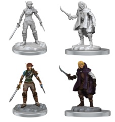 D&D - NOLZUR'S MARVELOUS MINIATURES - ELF ROGUE & HALF-ELF ROGUE PROTÉGÉ