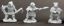 (77332) Derro Warriors (3)