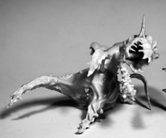 (77505) Dragon Plant