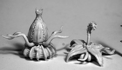 (77504) Death Star Lilies (2)