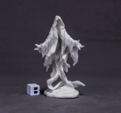 (77636) Death Shroud
