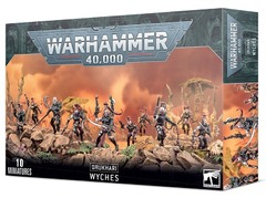4508 Drukhari Wyches