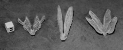 (77582) Clear Wings