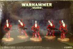 Eldar Wraithguard