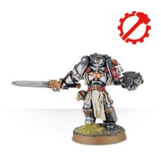 Grey Knight Brotherhood Champion