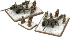 M5 3in gun (Winter)