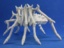 Cadirith, Demonic Colossal Spider