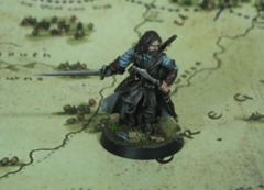 Amon Hen: Aragorn (1 figure)