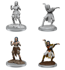 Pathfinder Battles Unpainted Deep Cuts Miniatures - W21 Half-Elf Monk Female WZK 90652