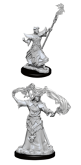 Pathfinder Battles Unpainted Minis - Male Human Sorcerer WZK 90052