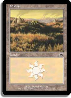 Plains #333 - Foil